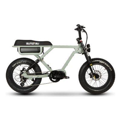 Eunorau Flash Electric Bike - Midrive/AWD - Lunar Dust